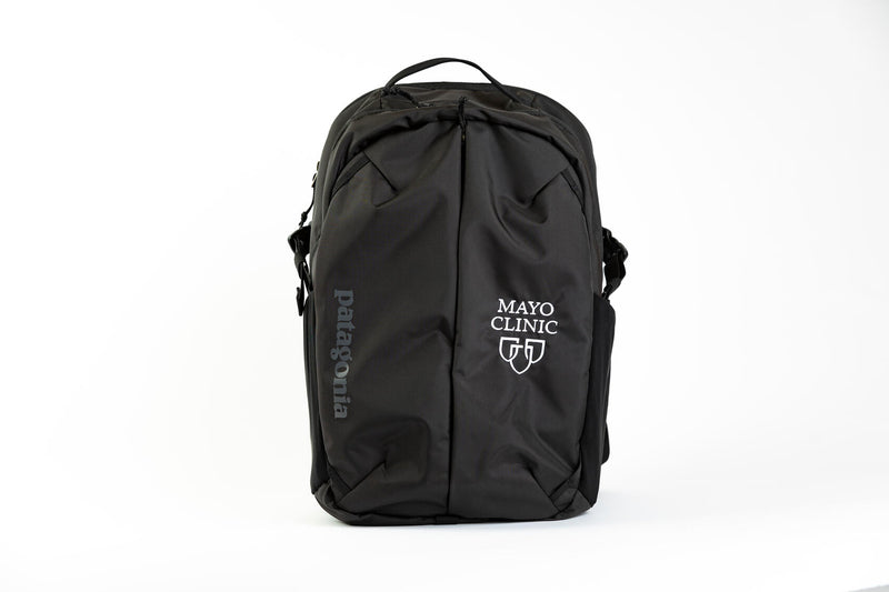 Patagonia daypack, 26L