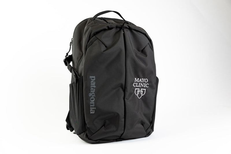 Patagonia daypack, 26L