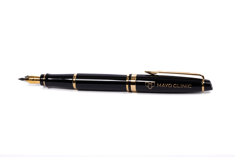 Waterman Expert Fountain Pen