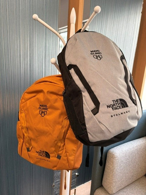 Backpack, The North Face Stalwart