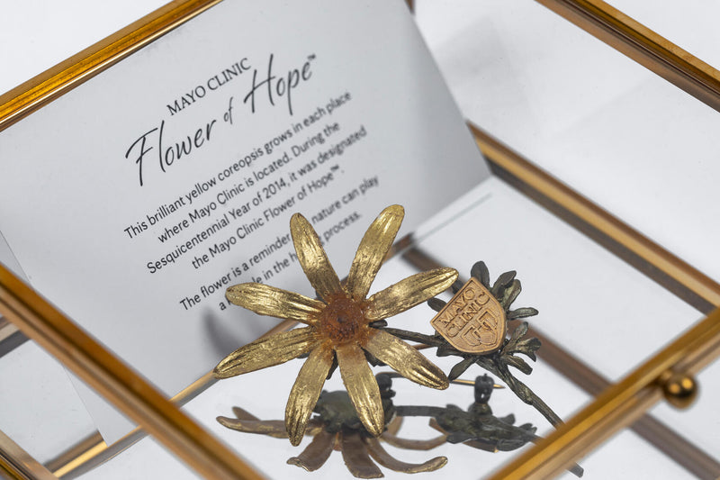 Brooch, Flower of Hope
