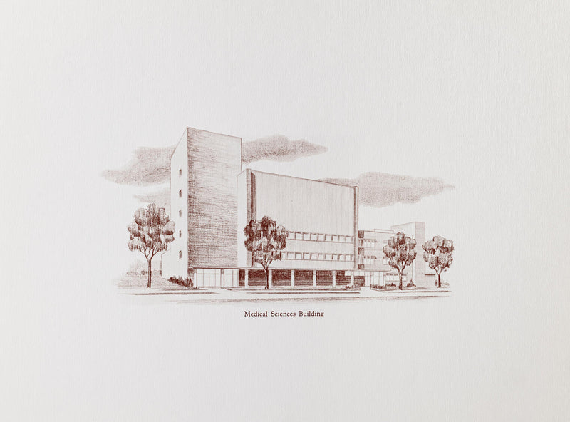 Sketches, unframed prints