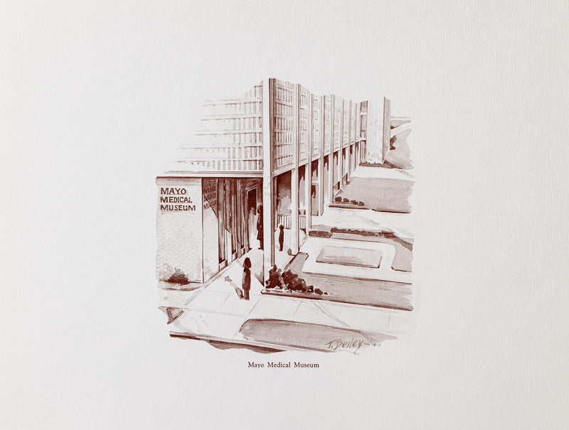 Sketches, unframed prints